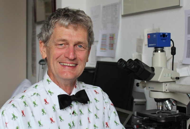 Profesor Martin Witt