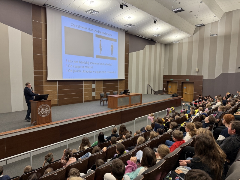 SPOTKANIE - LISTOPAD 2025