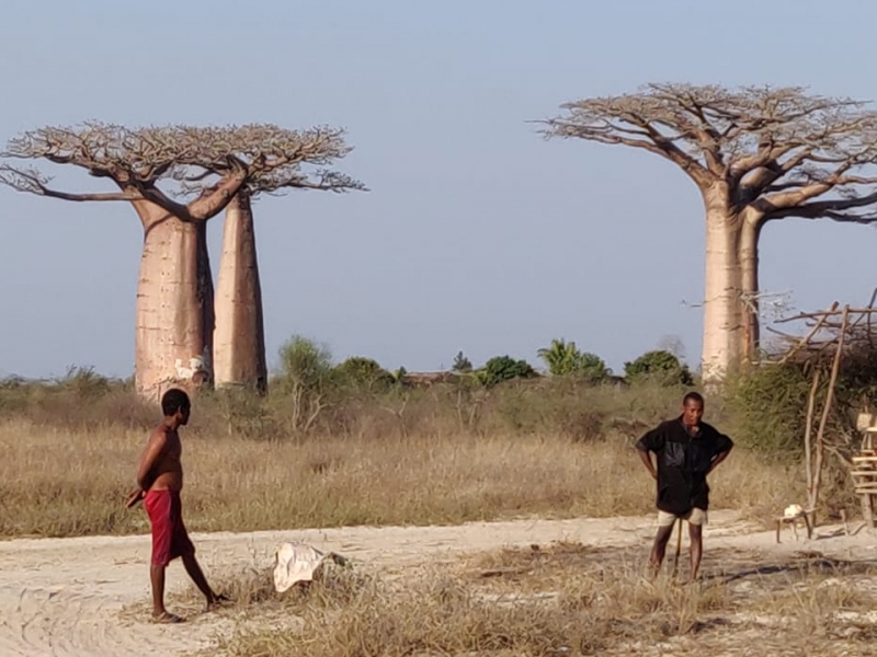 Protetyk słuchu na Madagaskarze