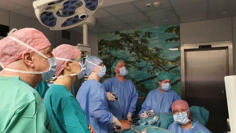 Warsztaty Minimalnie Inwazyjnej Chirurgii Ginekologicznej w Szpitalu Klinicznym przy Polnej 