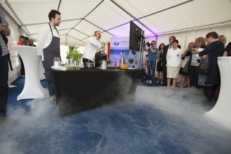 Wielkopolska Onkologia