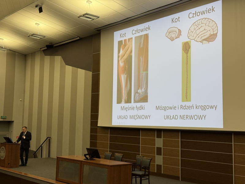 SPOTKANIE - LISTOPAD 2025